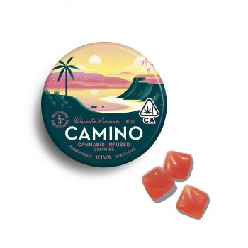 Camino - Watermelon Lemonade "Bliss" - (H) 100mg