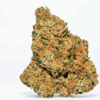 Magic Brothers – Ice Cream Cake – (H) Premium Flower 14G