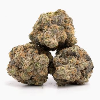 Magic Brothers – Lemon Cherry Gelato (Top Shelf) – (H) 3.5G